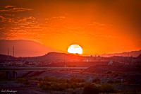 Phoenix